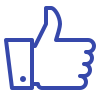 icons8-like-100