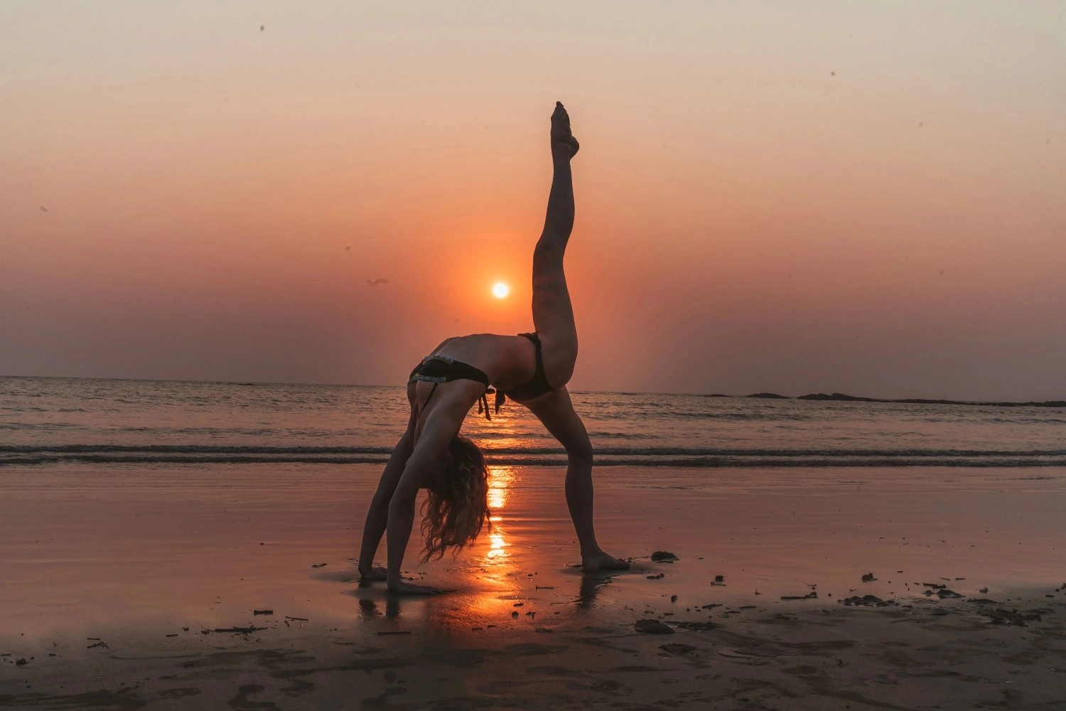 Wellness workshop