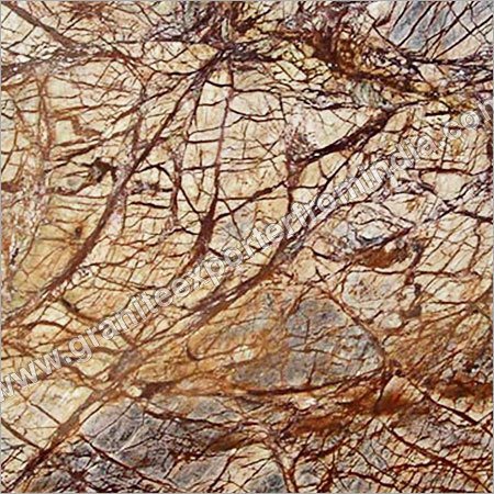 Rainforest Brown
